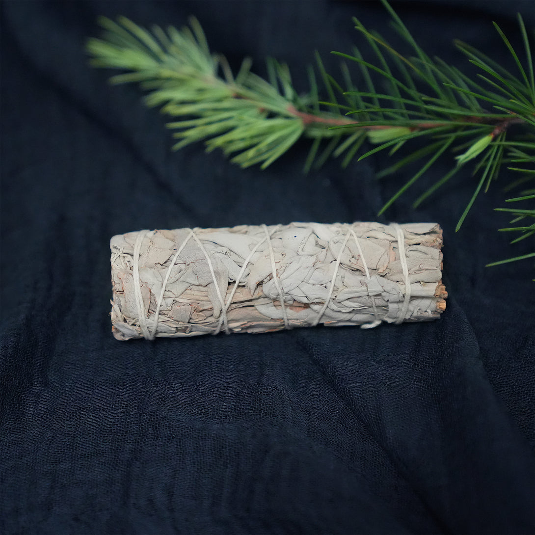 California White Sage