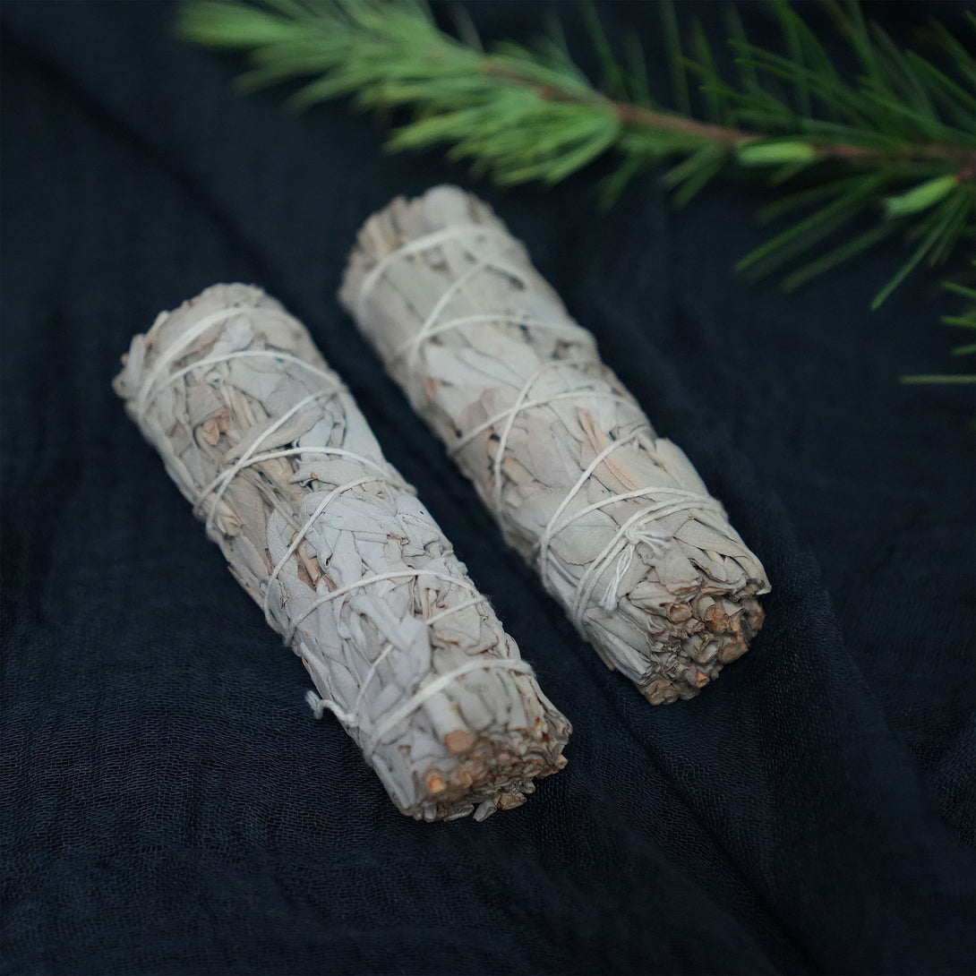 California White Sage